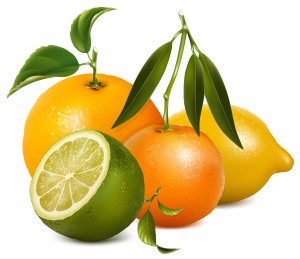 Vector tropical fruits with leaves
