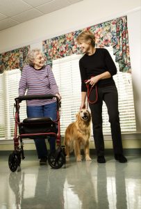 Animals and infection control