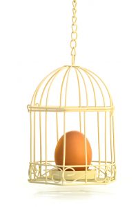 In the best interest - can we challenge the parent advocate