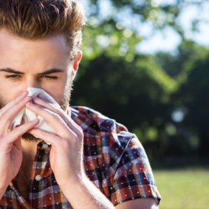 Hay fever season