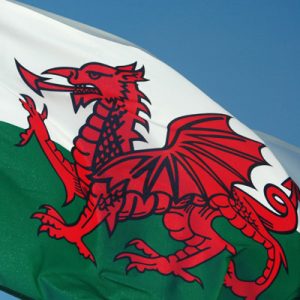 Care Regulation in Wales – Friend or Foe?