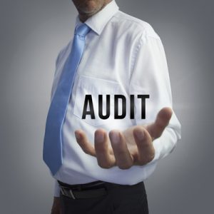Monthly care plan audit by council