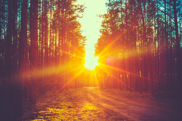 Morning Rituals – Setting the Pace for the Day