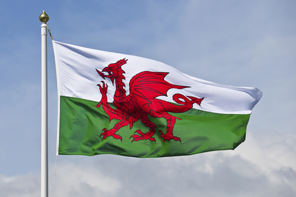 New (Interim) Inspection Regulations: Distinctively Welsh.