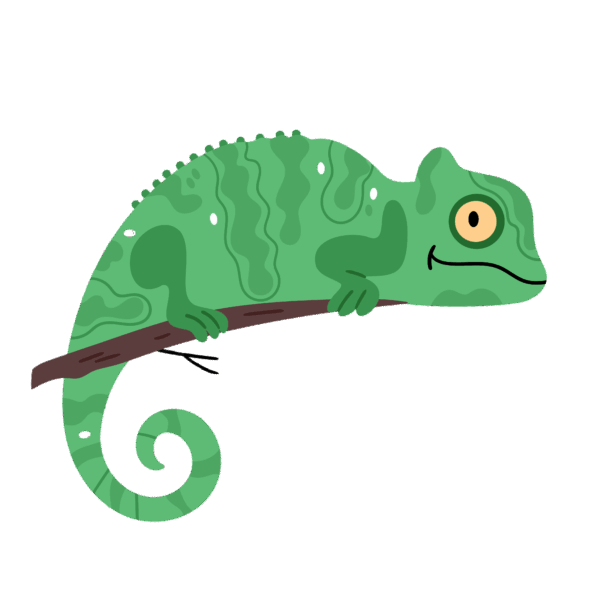 Switch Chameleon